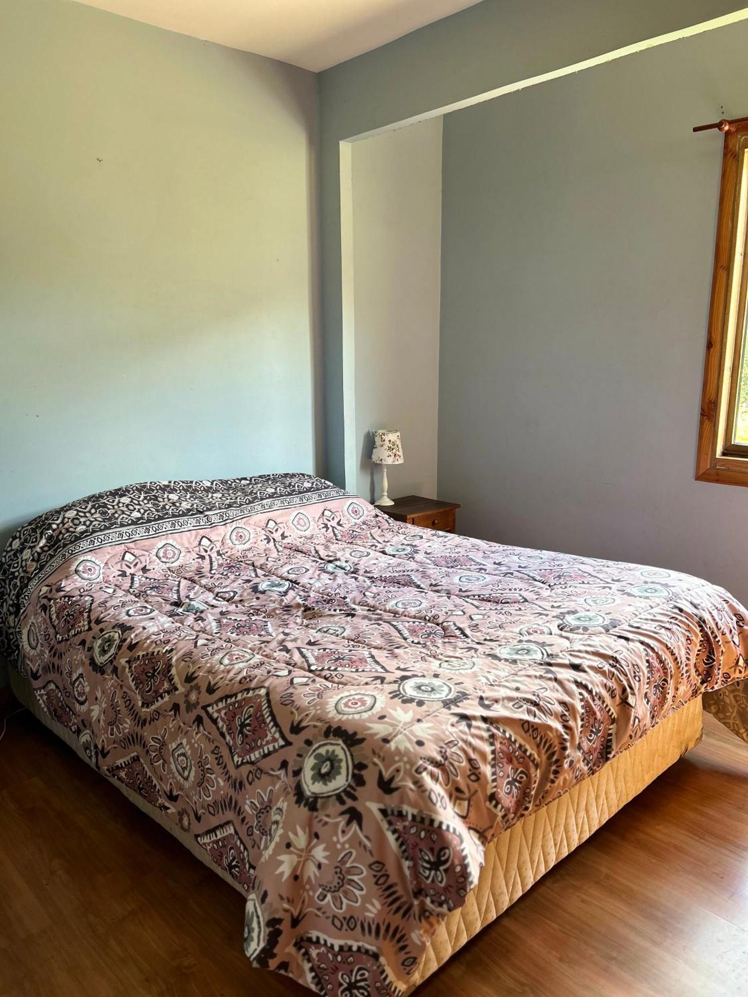 Quelen Patagonia Hostel Villa Cerro Castillo Ngoại thất bức ảnh